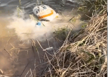 M0809035_Dog rescuedog cute pet life92_part2