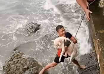 M0809032 s Jim Kilby on Reels part2