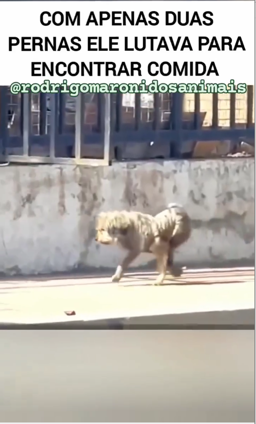 M3108004_shares Rodrigo Maroni_part2