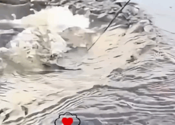 M0809030 Jim Kilby on Reels (2) part2