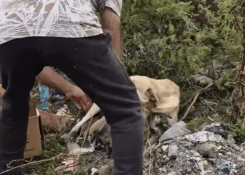 M1509004_Axşam yağış yağacaq_part2