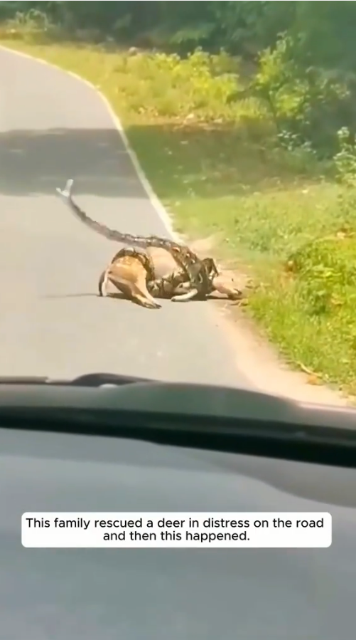 M1010019_p8 #pets #petlovers #doubleexposure _part2