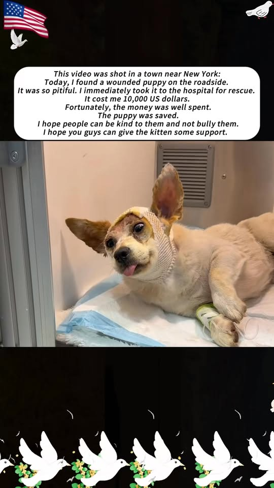 Puppies are very strong