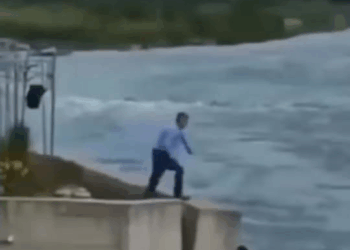 Rescue dog stuck under flood water #animalrescue #dogrescue #dog #str