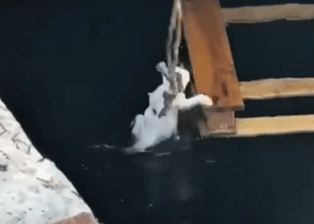 M1710005_Lo echaron al río para ahogarse._part2