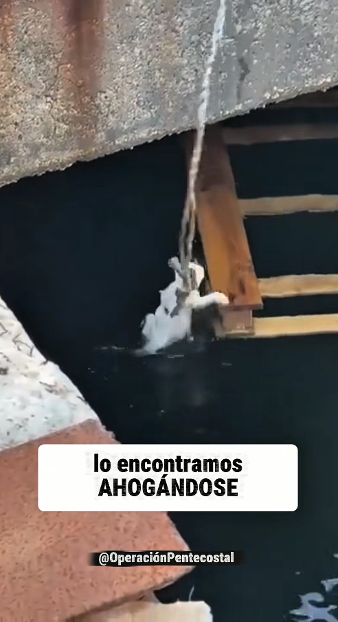 M1710005_Lo echaron al río para ahogarse._part2