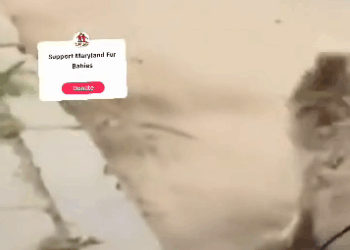 M1510013_#foryoupage #fyppppppppppppppppppppppp #fyp #fypシ #furyou _part2