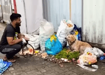 M1910028_47K views Reel by Dog Caring Shelter_part2