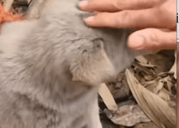 M1910025_This Story will break your heart_part2