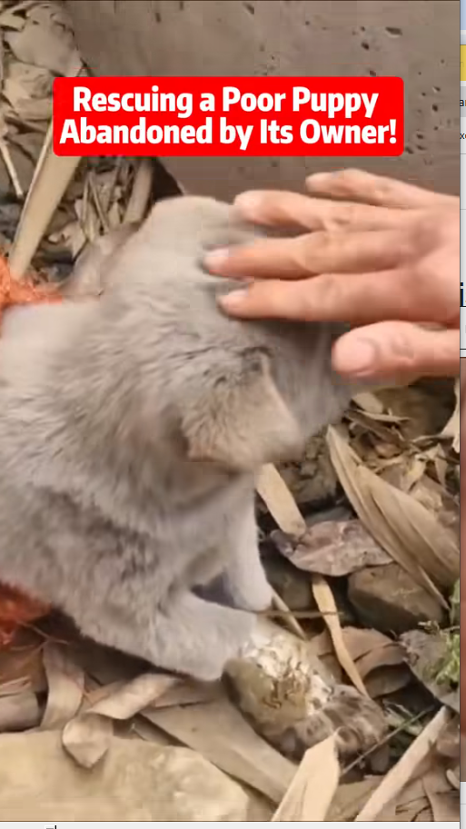 M1910025_This Story will break your heart_part2