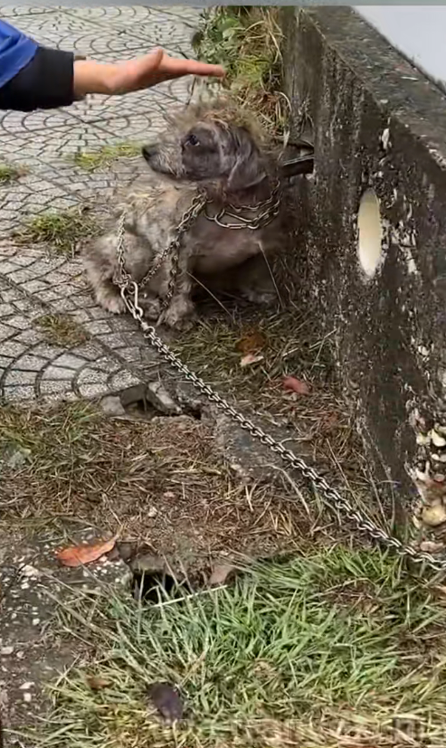 On way home after work, in middle of cold winter, tempe…_part2