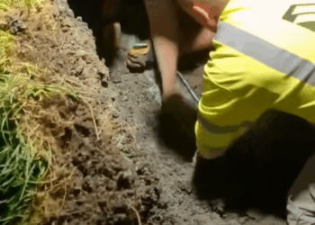 Rescue dog Thanks you every one #dog #rescue_part2