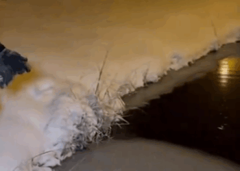 M2410009_Cold Blue Night Rescue 💙🐾 #CatRescue #WinterStory #RescueCat #AdoptDontShop #HeartTouching _part2