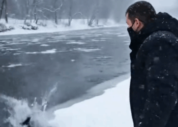 M2410008_A Dog’s Silent Wait in the Winter Chill 🥺😭 #puppys #pet #animals #rescue #dogs _part2