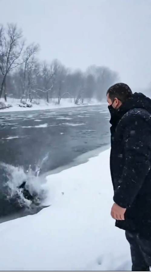 M2410008_A Dog’s Silent Wait in the Winter Chill 🥺😭 #puppys #pet #animals #rescue #dogs _part2