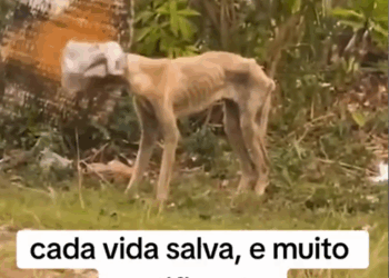 M2410002_No Title_part2