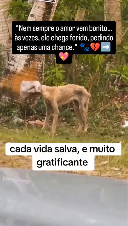 M2410002_No Title_part2