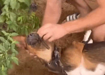 M2410024_QNGUPPHZ_part2