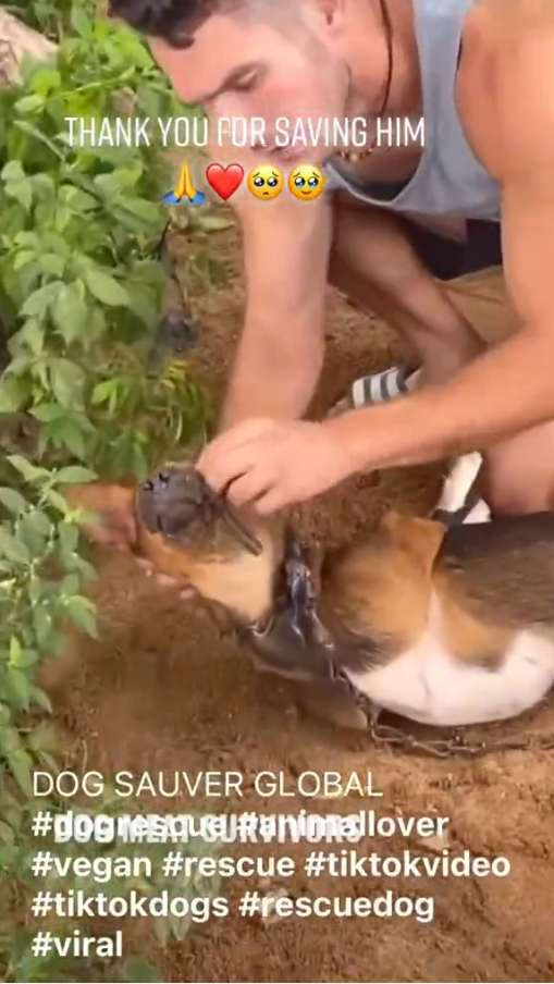 M2410024_QNGUPPHZ_part2