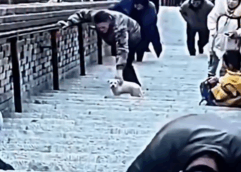 M2410028_for my work 🫵 🥺 @_alxe_2462 #reelsvideo #explore #exploremore #trending #trend #reelkarofee_part2