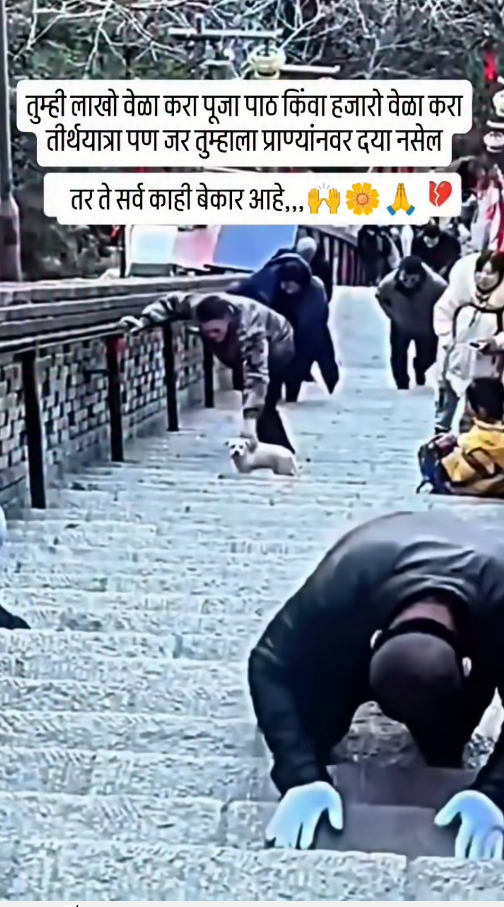 M2410028_for my work 🫵 🥺 @_alxe_2462 #reelsvideo #explore #exploremore #trending #trend #reelkarofee_part2