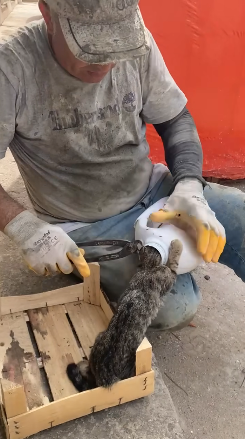 M2810003_Güzel kalpli bir kardeşimiz getirdi biz de kurtardık #hayvansevgisi Topcu Demir_part2