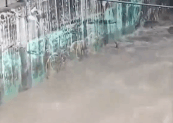 M2810008_Un héroe anónimo arriesgó su vida para salvar a un perro que luchaba contra las fuertes corrientes del río La Ceiba en Neiva. Con la ayuda de la _part2