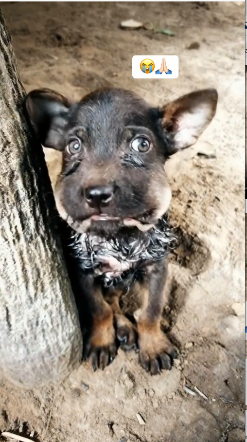 M2810006_No Title_part1