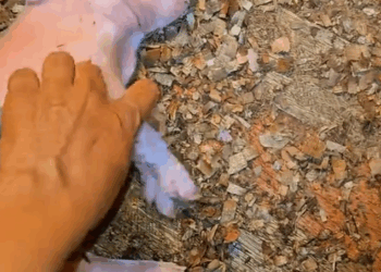 M2810004_sueño profundo,jeje_part2