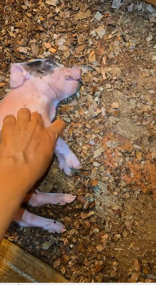 M2810004_sueño profundo,jeje_part2