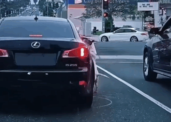 M1010015_Watch till the end 😭 #rescue #rescuedog #rescuepuppy #puppy #dog #puppytiktok #dogsoftiktok #savepuppy #animallover _part2