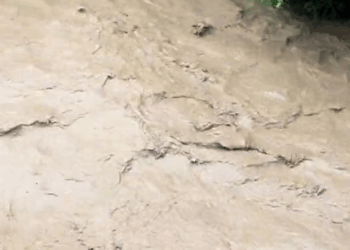 M2810007_#fypシ #parati #perritos #lluviasfuertes #fyppppppppppppppppppppppp #asalvo _part2