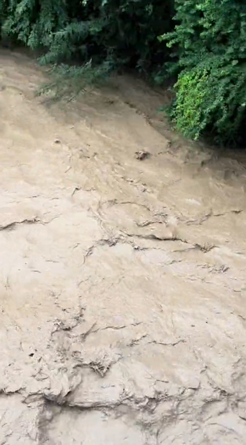 M2810007_#fypシ #parati #perritos #lluviasfuertes #fyppppppppppppppppppppppp #asalvo _part2