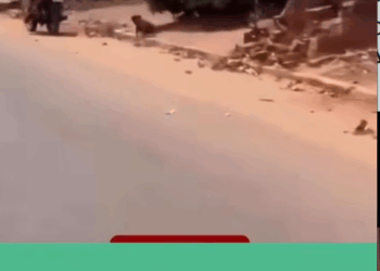 M2810001_CRIME DE MAUS-TRATOS Em Goiás, um motociclista foi flagrado arrastando um cachorro preso por uma corda na Avenida Ber_part2