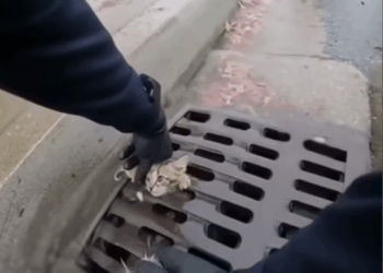 M2810026_people are too cruel🙄🙄🙄_part2