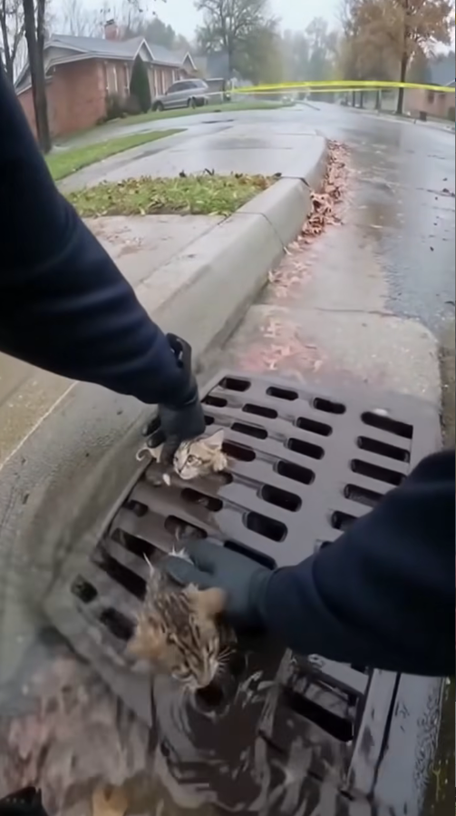 M2810026_people are too cruel๐๐๐_part2