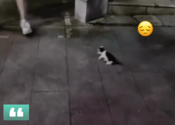 M1010008_Terimakasih yang telah menolong🥹🙏 Samsul Hidayatullah_part2