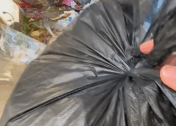 M2010003_Discarded and Trapped How a Passing Stranger Rescued a Puppy from Trash_part2