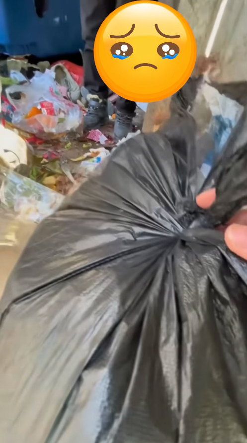 M2010003_Discarded and Trapped How a Passing Stranger Rescued a Puppy from Trash_part2