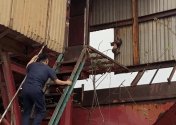 M6010008_I can’t understand what this poor dog did wrong that its owner treated it like that. Luckily a kind man helped it and gave it a new home. #rescue _part2