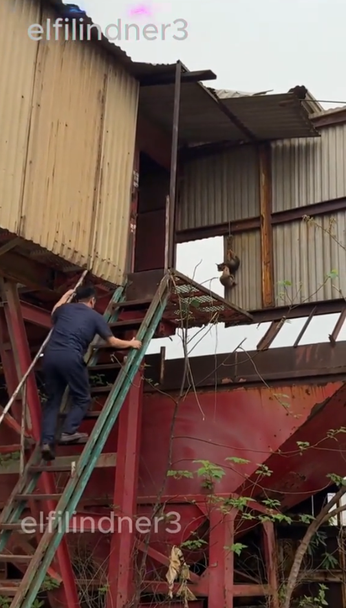 M6010008_I can’t understand what this poor dog did wrong that its owner treated it like that. Luckily a kind man helped it and gave it a new home. #rescue _part2