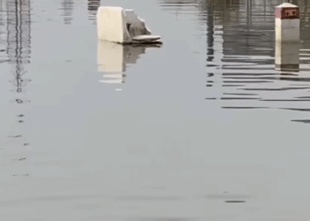 M6010009_we respect you🥹🥰Thank you brother😭😞_part2