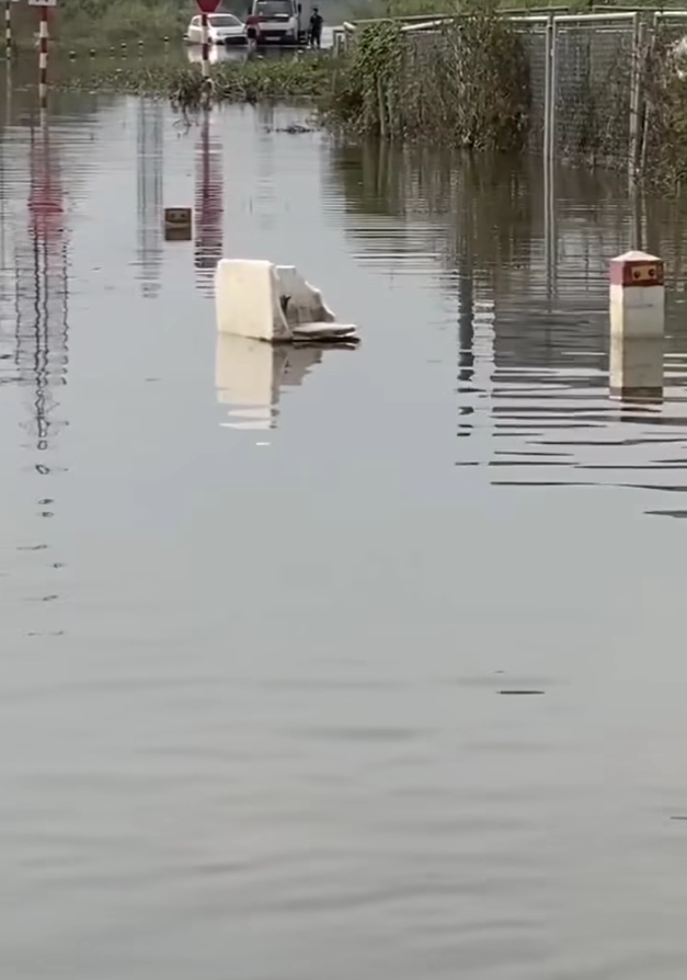 M6010009_we respect you🥹🥰Thank you brother😭😞_part2