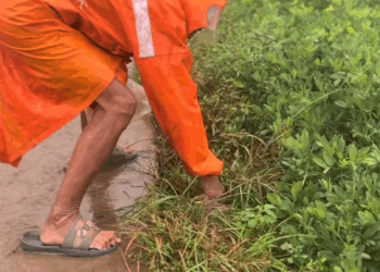 M6010017_The heavy rain submerged the human heart, and the grandfather picked it up_part 2