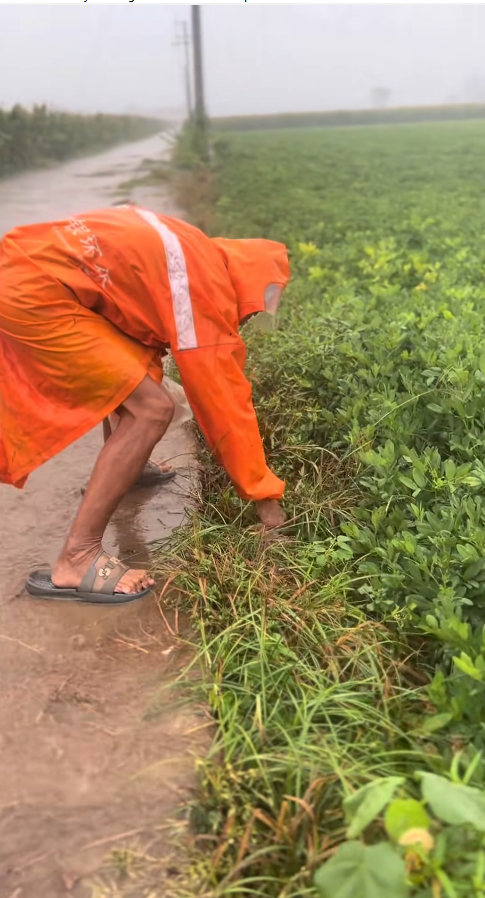 M6010017_The heavy rain submerged the human heart, and the grandfather picked it up_part 2