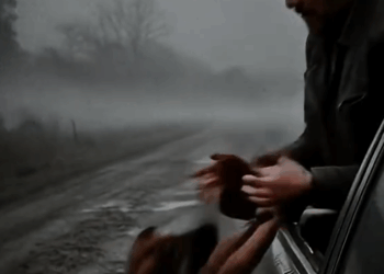 M9010006_injured and alone in the middle of the road 🐕😢👩‍🦰 an injured puppy found hope when a kind woman appeared #dogrescue #touching_part2