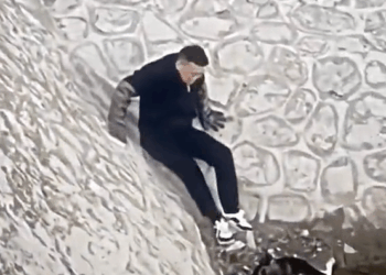 M9010003_quanta maldade com este cachorro.🥺 #emocionante #seresdeluz #cena #humildade #respect_part2