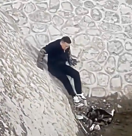 M9010003_quanta maldade com este cachorro.🥺 #emocionante #seresdeluz #cena #humildade #respect_part2