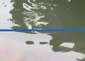 M1010017_Rescue a puppy and then…#rescue #rescuedog #rescuepuppy #puppy #dog #straydog #poordog #puppytiktok #dogsoftiktok #homelessdog _part2