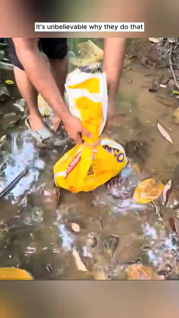 M1110009 Rescue baby dog #rescue #rescueanimals #fyp #animals #dogsoftiktok #dog #dogsoftiktok part2